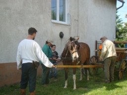 gyermek2015_84_20210412